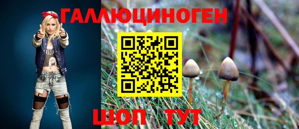Псилоцибиновые грибы прущие грибы  Псилоцибиновые грибы Psilocybe  Шебекино  Вход с VPN 